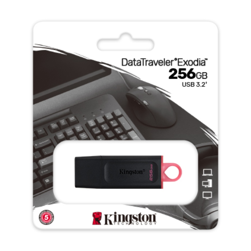 KINGSTON ORIGINAL 256GB FLASH DRIVE 